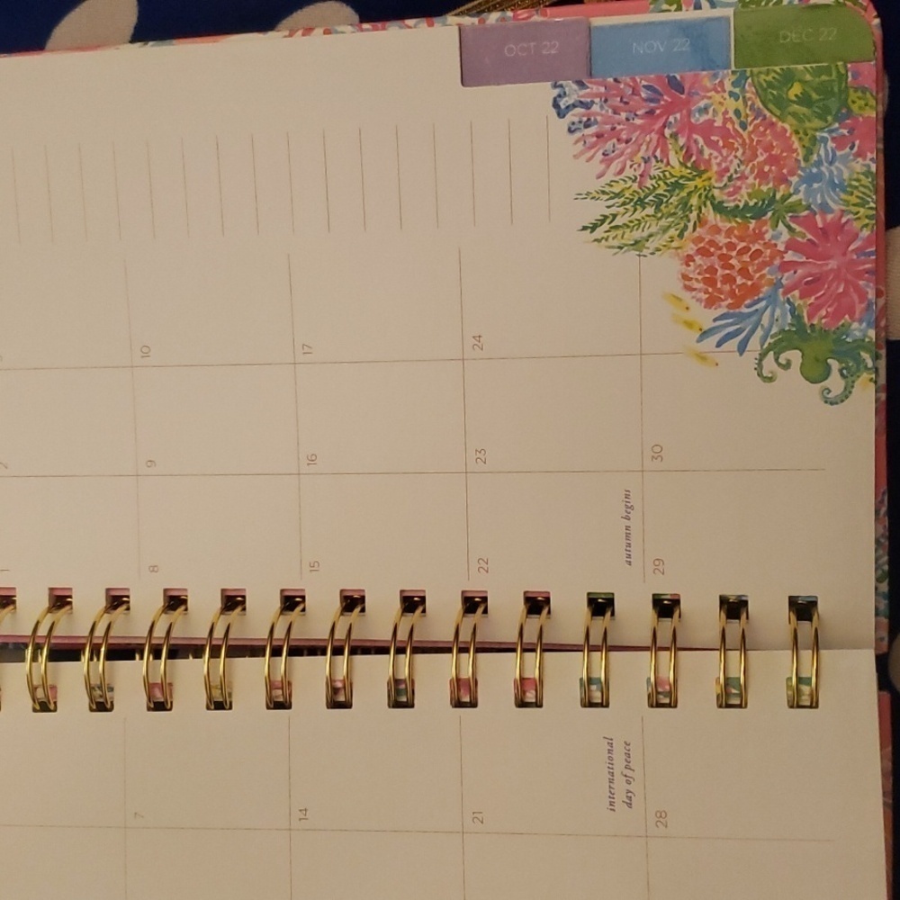 Lilly Pelzer planner - Picture 10 of 12
